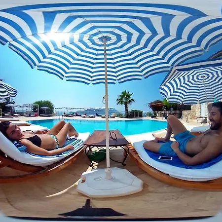 酒店 Cachet - Adult Only +14