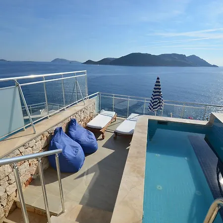 Cachet - Adult Only +14