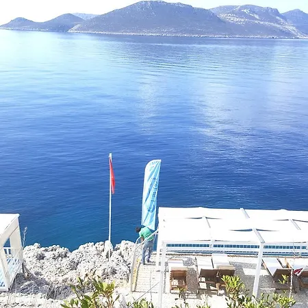 Cachet - Adult Only +14 卡斯