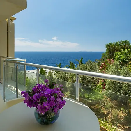 酒店 Cachet - Adult Only +14