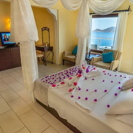 Cachet - Adult Only +14 3*