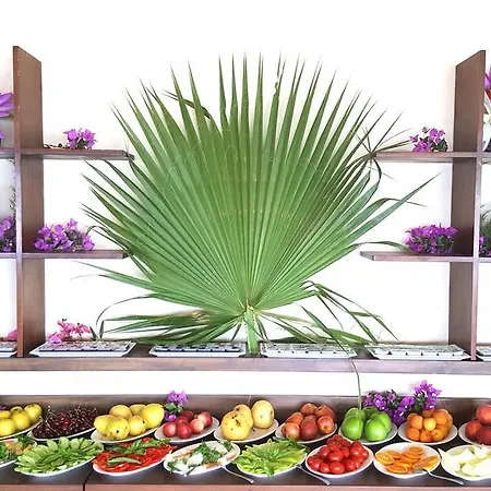 Cachet - Adult Only +14 Hotel 3*