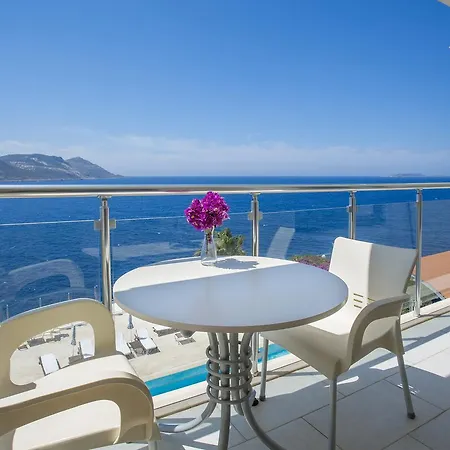 Cachet - Adult Only +14